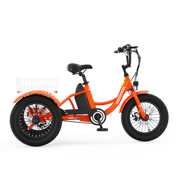CDI ELECTRIC TRIKE